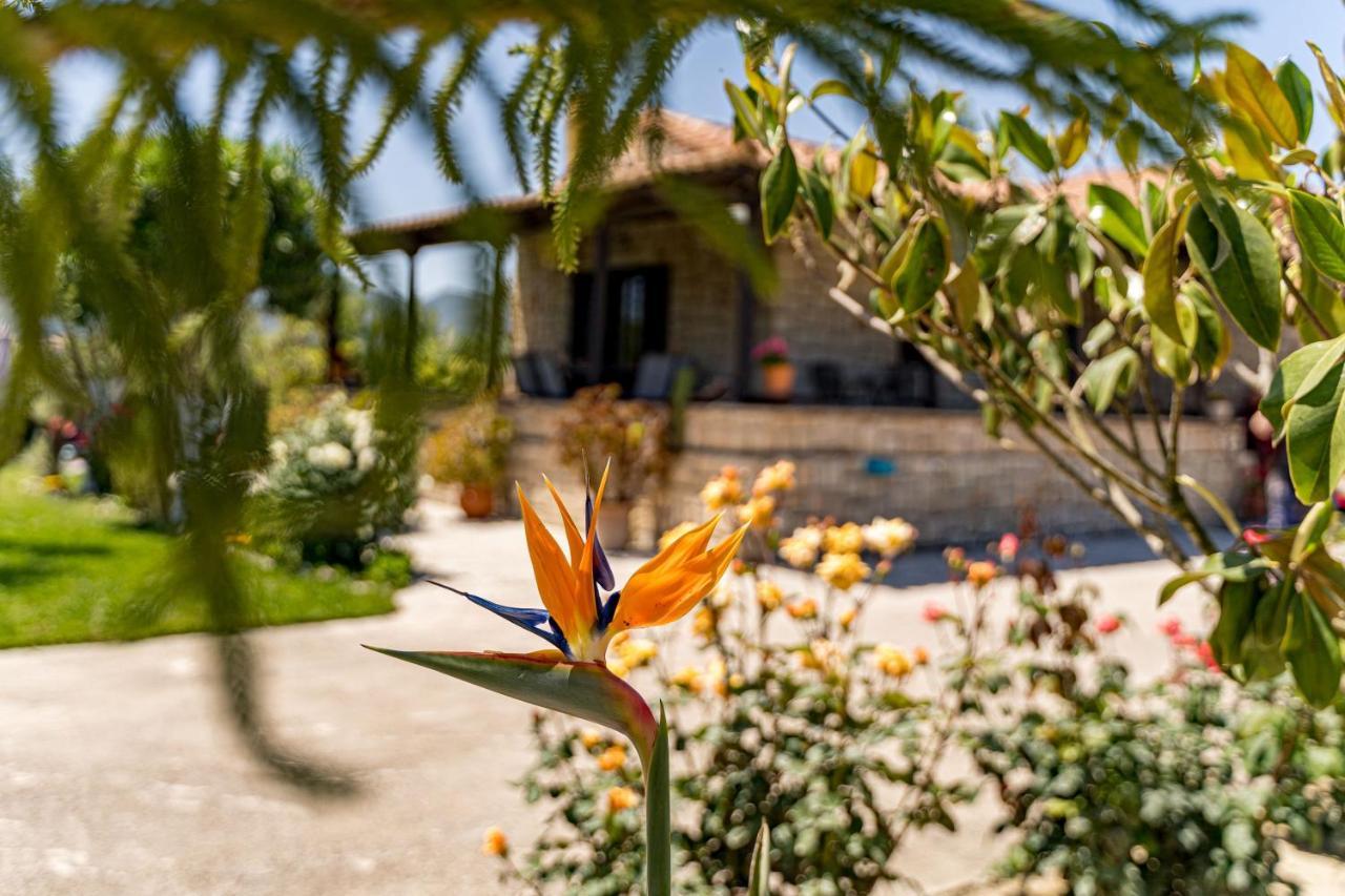 Varta Village - Elea House Kalipádhon Exteriér fotografie